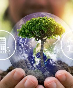 Condomínios de Caruaru e Região adotam práticas sustentáveis para preservar o meio ambiente